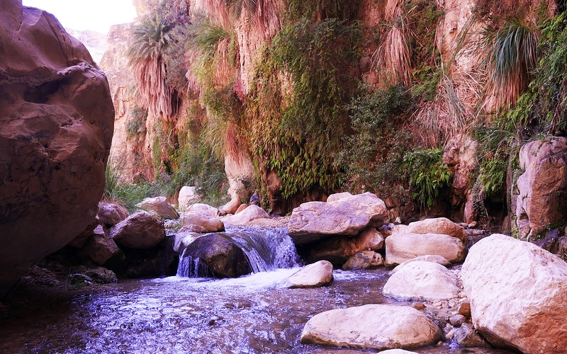 Wadi Bin Hammad + Petra + Wadi Rum